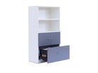 Flexeo® Schrank 2 große Schubladen oben 2 Fächer = 4 Ordnerhöhen