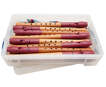 Gruppensatz: 15 Holzflöten mit Kunststoffkopf