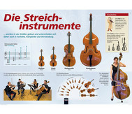 Poster - Streichinstrumente
