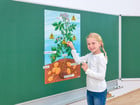 Betzold Die Kartoffelpflanze