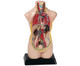 Betzold Torso verkleinert 3