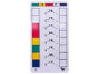 Betzold Cube Control Aufgabenkarten