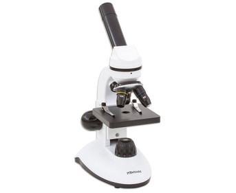 Betzold Mikroskop für Einsteiger
