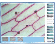 Betzold USB Digital Kamera für Mikroskope 640 x 480 Pixel 3
