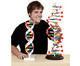 Betzold DNS Modell groß 4