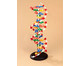 Betzold DNS Modell groß 6