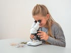Betzold Stereomikroskop für Einsteiger