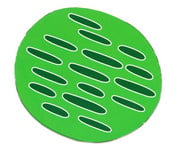 Betzold Magnetische pflanzliche Zelle 4