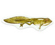Magnetischer Lebenszyklus Frosch 5
