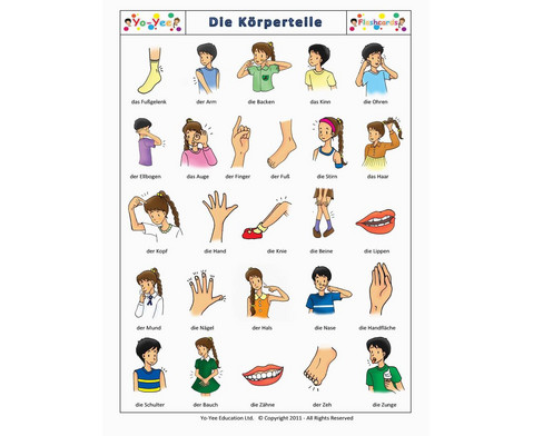Körperteile spielerisch kennenlernen