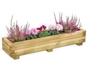 Blumenkasten 2