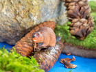 Betzold Nordamerikanische Tiere 12 tlg