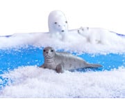 Betzold Arktische und antarktische Tiere 6 teilig 2