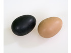Betzold Schüttel Eier