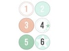 folia Adventskalender Set Nature