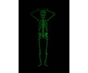 Skelett Glow In The Dark 5