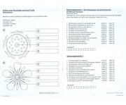 Tafelmaterial Von der Kirschblüte bis zur Frucht 4
