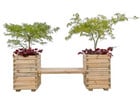 Betzold Planta Kombination 1 für 2 Personen