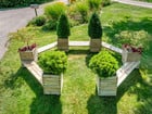 Betzold Planta Kombination 5 für 10 Personen