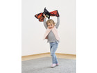 Metamorphose Schmetterling