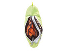 Metamorphose Schmetterling