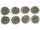 Tierspuren Set