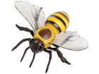 Honigbiene Modell