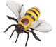 Honigbiene Modell-1