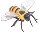 Honigbiene Modell-4