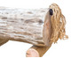 Betzold Baumstamm Tiere 6