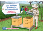 Kamishibai Bildkarten Von fleißigen Bienen und leckerem Honig