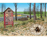 Kamishibai Bildkarten Von fleißigen Bienen und leckerem Honig 2