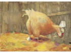 Kamishibai Bildkarten Das Osterküken
