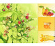 Wie wir Schmetterling und Biene in unseren Garten locken 3