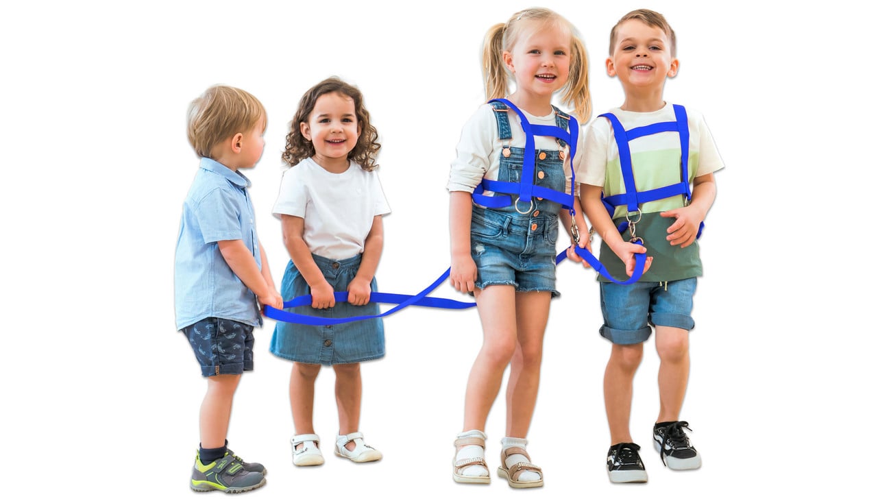 Betzold Pferdegeschirr Zweispänner