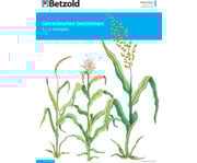 Betzold Themenheft Getreidearten bestimmen 1