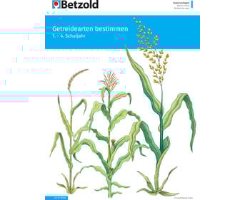 Betzold Themenheft Getreidearten bestimmen