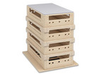Modul Sprungkasten Active