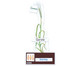 Betzold Sparset Getreide bestimmen 6