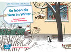 Kamishibai Bildkarten So leben die Tiere im Winter