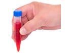 Betzold Reagenzröhrchen 10 Stück 10 ml aus Kunststoff
