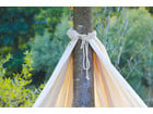 Baum Tipi