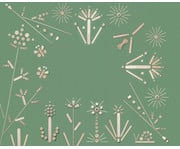 folia Kreativ Box Holz 4
