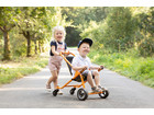 TopTrike Buggy