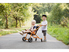 TopTrike Buggy