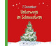 Das Geheimnis der Waldweihnacht Adventskalender mit 24 Buechlein-3
