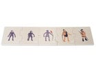 Betzold Evolution des Menschen