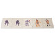Betzold Evolution des Menschen 3