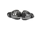 Boxhandschuhe Fit 2 10 oz