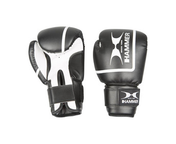 Boxhandschuhe Fit 2